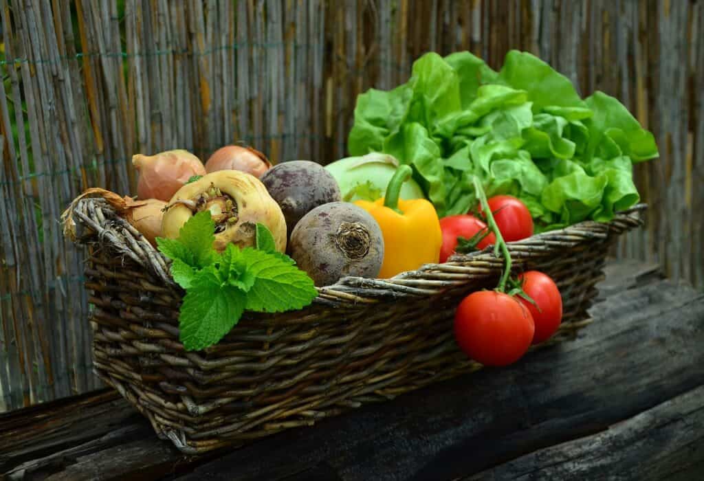 vegetables in an basket