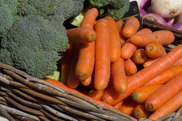 Carrots vs Broccoli: Which is healthier