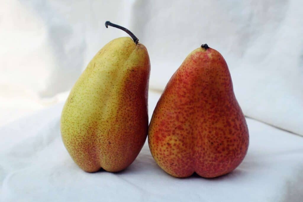 How to Eat a Pear