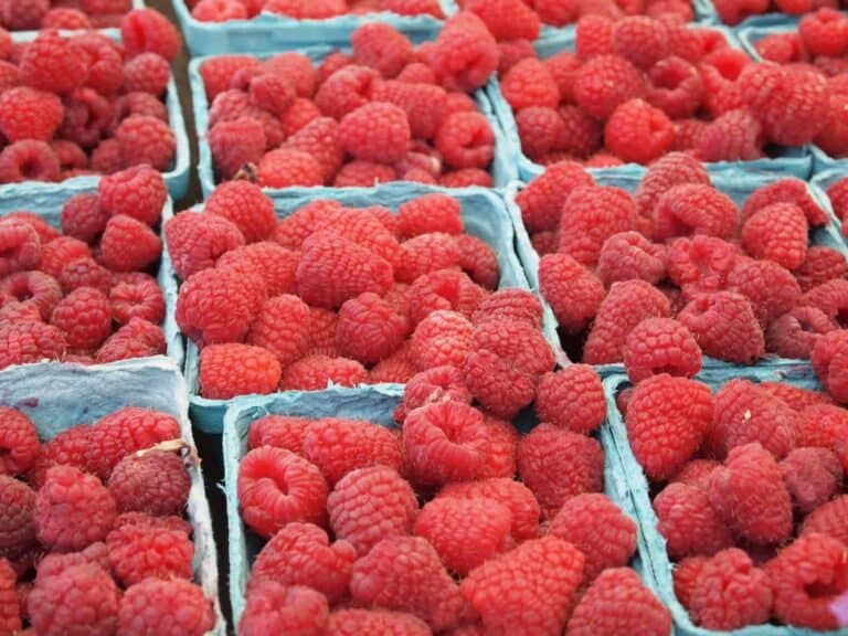 Can You Eat Raspberry Seeds