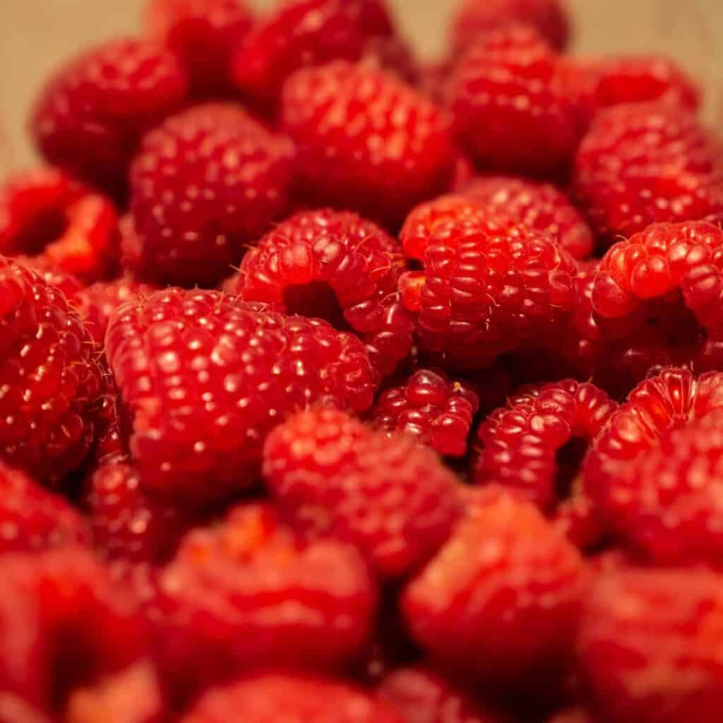 red strawberries on white ceramic plate