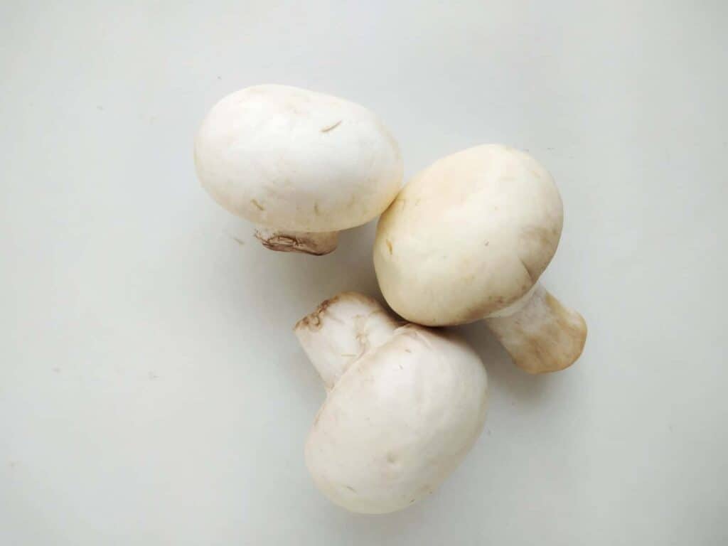 Can Canned Mushrooms Be Frozen