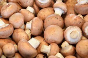 Can Canned Mushrooms Be Frozen