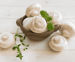 which mushroom has the most protein