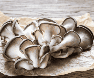 which mushroom has the most protein