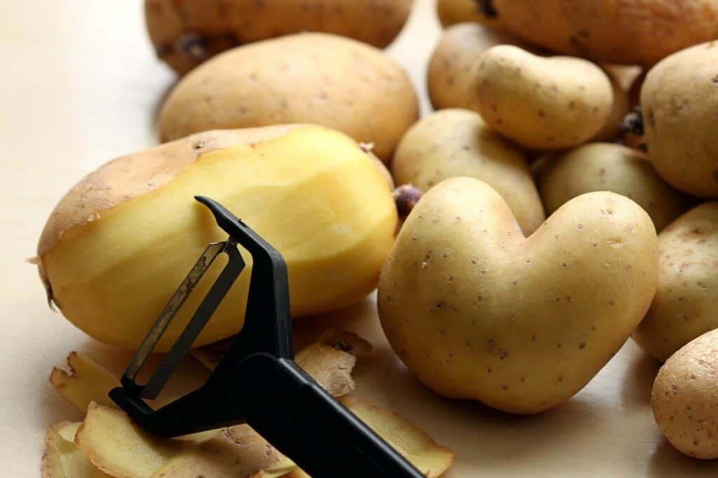 potato and leek recipes