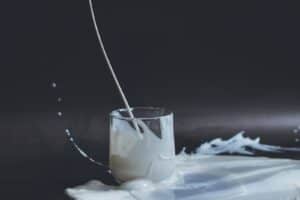 plant-based milk alternatives