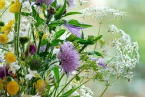 a vase filled with lots of different types of flowers