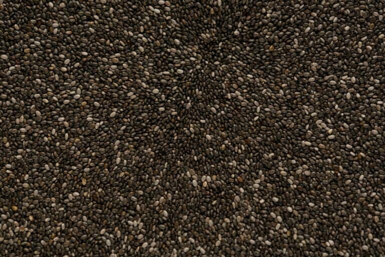 How to Prepare Chia Seeds for Eating