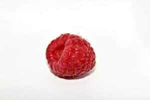 Can You Eat Raspberry Seeds