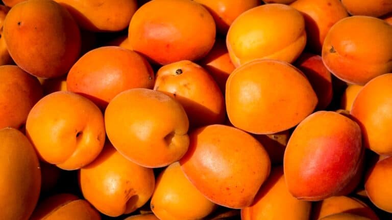 Orange Foods